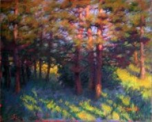 Pine Trees, the Golden Hour, 16x20", pastel on panel by Jeffrey Smith