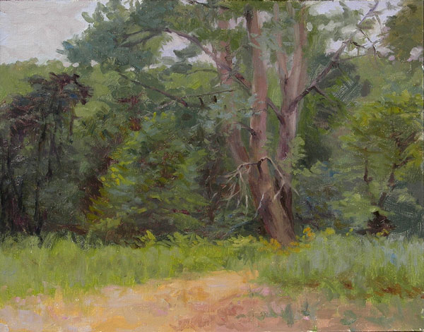Poplars on the Mississippi River Sandbar | Jeffrey Smith