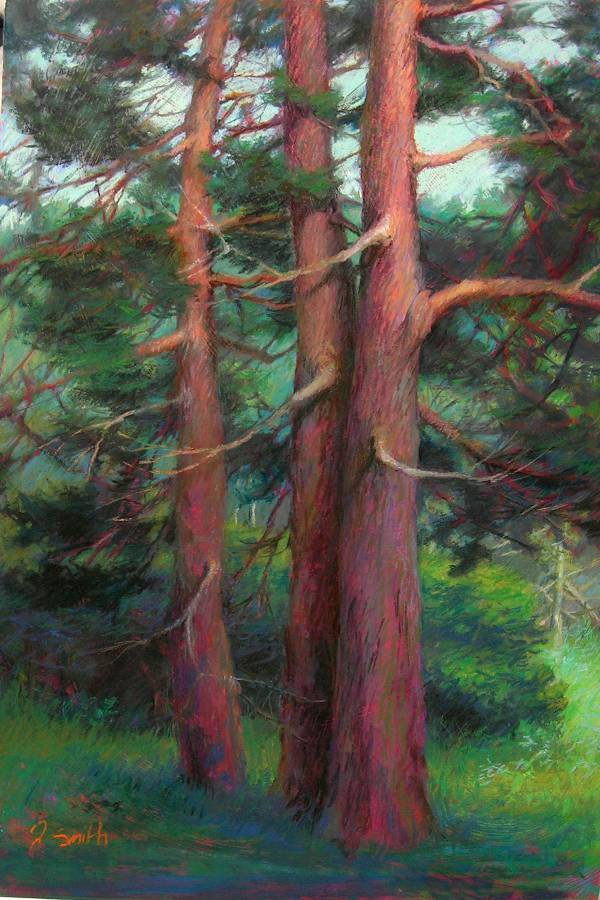 Pine Trio | pastel painting | Jeffrey Smith