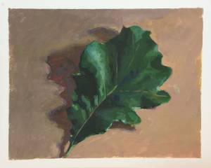 Oak Leaf | Gouache | Jeffrey Smith Art