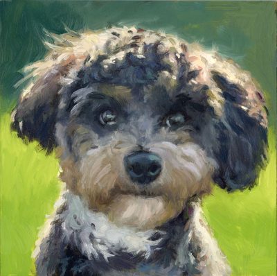 oil painting of a doodle named Coco by Jeffrey Smith