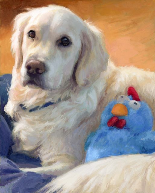 Oil portrait of Larry, a cream golden retriever, lying beside a blue toy chicken